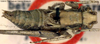 CollectionObject 1517402; 5a91da56-2447-4e0a-8327-0ce4adcced3f: male, dorsal view (holotype). (CollectionObject).