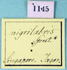 CollectionObject 1500183; 34d75122-9a50-41da-bf4f-6abf9f8b13d8, MfN 1145: labels (holotype). (CollectionObject).