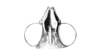 Fig. 25F. head, dorsal view. Depicts Chimarocephala pacifica (Thomas, 1873), an Otu.