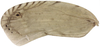 Neomenocria advena (Spinola, 1839): (Otu).