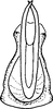 Aedeagus, ventral view on Conoscelis remanei Abdul-Nour, 1988: Aedeagus, ventral view. (Observation).
