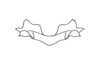 Abracris dilecta Walker, 1870: Fig. 20d. epiphallus, anterior view. (Otu).