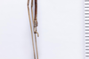 CollectionObject 1573905; 96404b7b-0ee8-4c9d-a520-d6cb0c74c7a6: copyyright Murcia. male (paratype), abdomen, lateral view. (CollectionObject).;CollectionObject 1573906; 8be9fc32-08b5-47c0-a600-babbc38951e3: copyyright Murcia. male (paratype), abdomen, lateral view. (CollectionObject).;CollectionObject 1573907; 49e63d2b-bc6d-4dce-ba5b-02e7a291d51b: copyyright Murcia. male (paratype), abdomen, lateral view. (CollectionObject).
