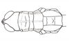 Yungasus hebardi (Liebermann, 1941): Fig. 23. male, head and thorax, dorsal view. (Otu).