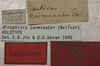 CollectionObject 1535207; b48c002c-6524-4fe9-a695-c76e009b76d3: labels (lectotype). (CollectionObject).