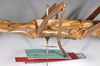 CollectionObject 1559887; 74134ed5-ba71-4aea-98fd-17ae53c90090: copyright ZMHB, Berlin. female: mid body, lateral view of synonym Monandroptera parallela (holotype). (CollectionObject).