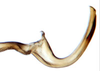 Aedeagus, lateral view: !! display not done !! on Acostemma Signoret, 1860: Acostemma stilleri, aedeagus laterally, fused to connective (INHS). (Observation).