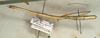 CollectionObject 1558021; ac5f06fb-3ccd-4f50-bb26-d6b9d2339f82: copyright NMW, Vienna. female, lateral view (syntype). (CollectionObject).;CollectionObject 1558022; 072581cb-7ba7-4cb1-90e3-6cad3bfa3cfd: copyright NMW, Vienna. female, lateral view (syntype). (CollectionObject).