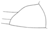 Cycloptilum distinctum Hebard, 1931: Pl. 14 Fig. 3. female subgenital plate, lateral outline. (Otu).