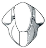 Head on Dixianus utahnus (Ball, 1909): Dixianus utahnus, face. (Observation).