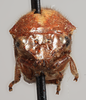 Head: (Observation).