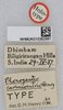 CollectionObject 1519817; 03a932c0-73a1-45dc-aaca-92ae398ea2b8: labels (holotype). (CollectionObject).