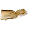 Pygofer, lateral view on Bonamus jussaral Zahniser, 2021: (Observation).