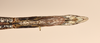 CollectionObject 1556950; 9f2cbcc4-4dea-4813-8016-e8a89e139151: copyright UMO, Oxford. female: end of abdomen, ventral view (syntype). (CollectionObject).;CollectionObject 1556951; 112d4c60-f82e-4830-a689-d06ca3356b17: copyright UMO, Oxford. female: end of abdomen, ventral view (syntype). (CollectionObject).