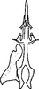 Stylus: !! display not done !! on Texananus (Texananus) mexicanus (Ball, 1918): Stylus. (Observation).