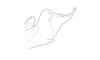 Cylindrotettix obscurus (Thunberg, 1827): Fig. 5D. phallic sclerite, lateral view. (Otu).
