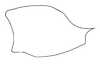 Pygofer, lateral view on Prairiana breva (DeLong & Wolda, 1982): Male: pygofer, lateral view. (Observation).