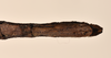 CollectionObject 1559873; d194b348-a9c4-422d-bd8a-3074012801cd: copyright UMO. female: end of abdomen, ventral view (holotype). (CollectionObject).