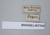 CollectionObject 1573252; a7032bbd-6da5-455e-9fcb-eaabc7ed064b: Copyright NHM, London. Male: data labels, non-type. (CollectionObject).