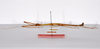 CollectionObject 1561339; 9f541739-ec3a-45ec-911c-0591fdbc6d92: copyright ZMHB, Berlin. male, lateral view (holotype). (CollectionObject).