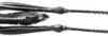 CollectionObject 1501147; 7399fed1-9acd-40c3-9b68-5fa7dff6c661, DORSA BA000582S01: Image Carbonell, C.S. female abdomen tip, dorsal view (holotype). (CollectionObject).