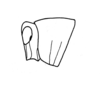 Phaulotypus socotranus (Popov, 1957): Fig. 12. head and pronotum, lateral view. (Otu).