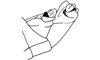 Sciponacris trichilae Descamps, 1978: Fig. 113. male abdomen tip, lateral view. (Otu).