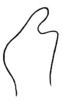 Anaulacomera (Cervicercora) hirsuta Hebard, 1927: Pl. XIX, Fig. 16 (after type). male cercus, lateral outline of proximal arm. (Otu).