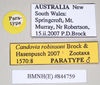CollectionObject 1562687; d96976dd-6964-4788-8984-2c142fd555a1: copyright Natural History Museum, London. male, data labels (paratype). (CollectionObject).