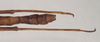 CollectionObject 1560117; NHMUK(SF IMPORT DUPLICATE) 844674, bc189b9a-eccd-4440-88e2-550641654006: copyright Natural History Museum, London. male: end of abdomen, dorsal view (holotype). (CollectionObject).
