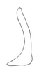Hoplidostylus borrei (Griffini, 1908): Fig. 185. male stylus (distal portion down, 3 mm). (Otu).