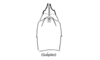 Leptomerinthoprora brevipennis Rehn, 1905: Fig. 5C. female abdomen tip, ventral view. (Otu).