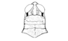 Dichroplus intermedius Ronderos, 1976: Fig. 16. female, head and pronotum, dorsal view. (Otu).