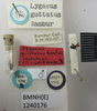 CollectionObject 1596679; e877039b-c94d-4ed3-be90-ecda78794b7f: Lygaeus guttatus. Lectotype. (BMNH) - (CC BY-NC 4.0) Photo by Stuart Cole, reproduced with permission from the Natural History Museum, London, UK. (CollectionObject).