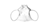 Fig. 40J. head, dorsal view. Depicts Dissosteira carolina (Linnaeus, 1758), an Otu.