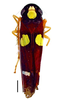 Habitus, dorsal view on Erythrogonia hertha Medler, 1963: Specimen from Parque Nacional do Itatiaia, Southeastern Brazil, by C. M. F. Silva 2014. (Observation).