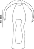 Aedeagus, ventral view on Concavifer marmoratus Dlabola, 1960: dorsal view. (Observation).
