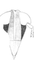 Head: Face (S. longifurcifera). (Observation).