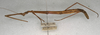 CollectionObject 1559359; 3cecb593-46c5-49e5-a813-14ce73d16f4f: copyright NMW, Vienna. female, lateral view (syntype). (CollectionObject).;CollectionObject 1559360; a98f4d77-dfc2-446f-b95b-60ed4a55bcd7: copyright NMW, Vienna. female, lateral view (syntype). (CollectionObject).