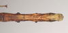 CollectionObject 1559426; NHMUK(SF IMPORT DUPLICATE) 844602, 404a42de-b0fc-4c69-be1c-c11288a485f8: copyright Natural History Museum, London. female: end of abdomen, ventral view of synonym Lonchodes hosei herberti (holotype). (CollectionObject).