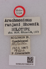 CollectionObject 1518407; 42d8ded2-71c4-4cfe-a34e-cb275590c939, NHMUK015982418: labels (holotype). (CollectionObject).