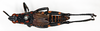 CollectionObject 1578630; 154c837b-7602-497a-bc93-90e361b8d31e: male, dorsal view (paralectotype of Maura rugulosa brevipennis). (CollectionObject).