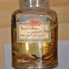 CollectionObject 1558076; d22f82d3-4d2f-47f8-8389-af10b2f28fca: copyright ZMHB, Berlin. male (holotype) & female (paratype) [in alcohol]. (CollectionObject).