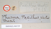 CollectionObject 1561274; b321227c-ed38-4743-8052-c0567dfdf3ec: copyright Natural History Museum, London. male, data labels - round label reversed (holotype). (CollectionObject).