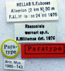 CollectionObject 1520634; 13129522-a1ba-416c-ac3e-5dba200a7b24: labels (paratype). (CollectionObject).