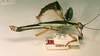 CollectionObject 1558283; 895e6ecf-9857-4a59-a191-58952bc48778: copyright NHRS. female, lateral view (holotype). (CollectionObject).