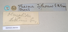 CollectionObject 1562259; 254d0a21-a3c9-48b5-b63c-04fff24f039f: copyright Natural History Museum, London. female, data labels (syntype). (CollectionObject).