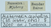 CollectionObject 1585501; 597f2d76-7379-47d6-946e-83aed747807a: labels. (CollectionObject).