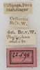 CollectionObject 1566568; NMW 22598, 03d136d7-b954-4d1d-aab5-e1ebf93d75f4: labels. (CollectionObject).
