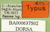 CollectionObject 1571957; 0682abd2-49f4-405f-9d99-272f3f1b1411: labels (allotype). (CollectionObject).